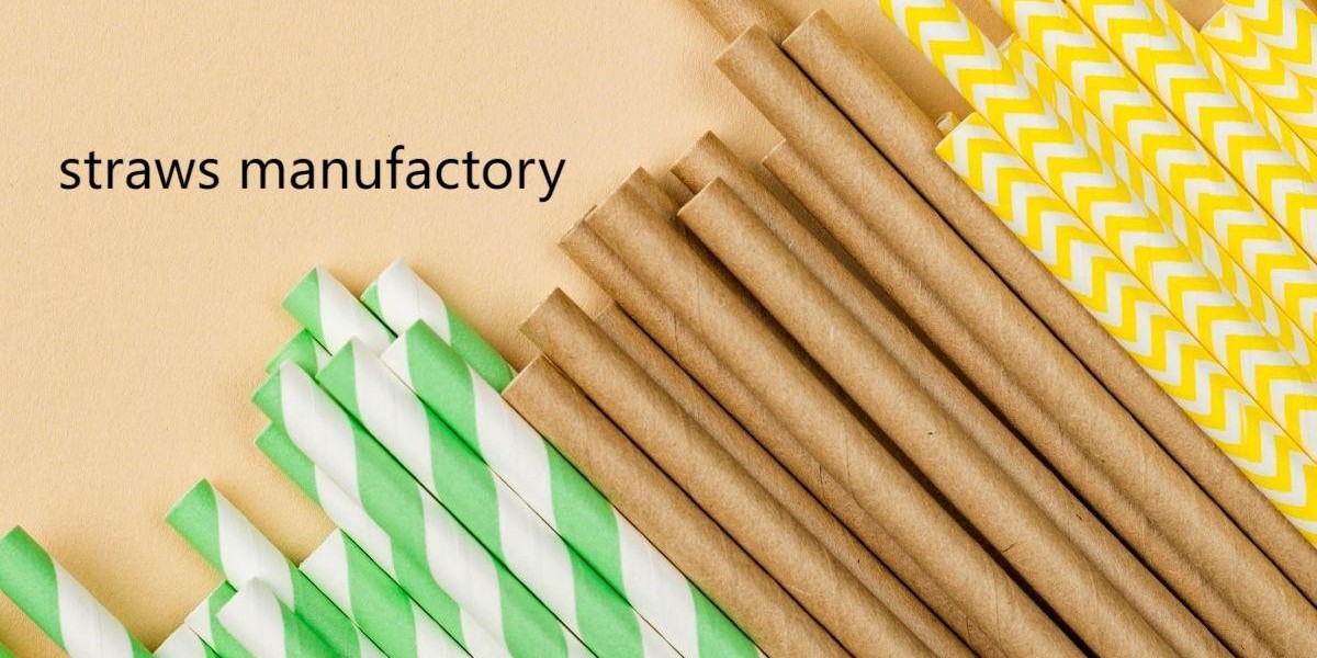 Soton Straws in the Eco-Aware Household