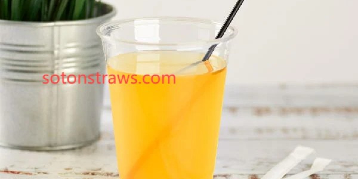 Soton's Adaptive Framework for Global PP Straw Compliance