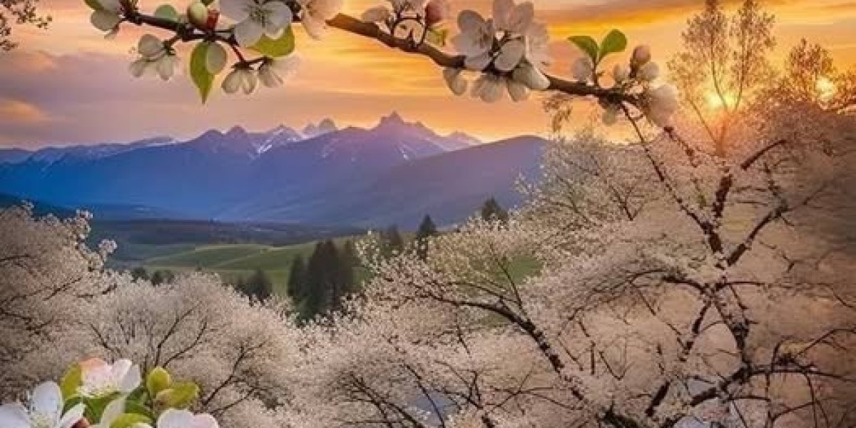 Your day by day Giants trivia recreation, Sunday model