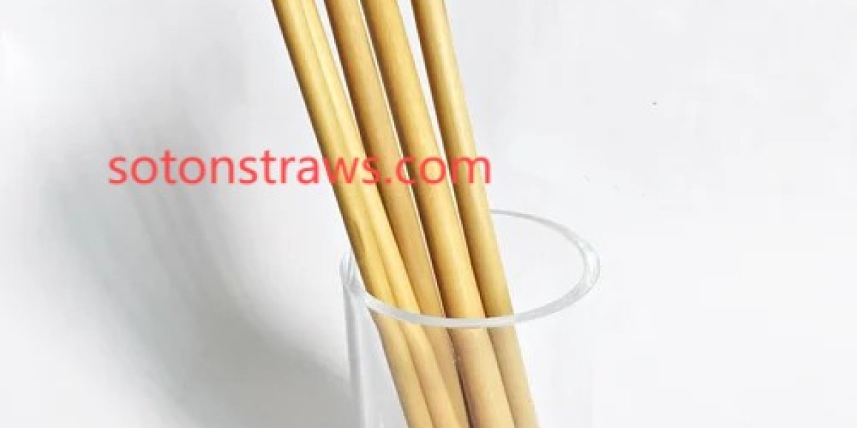 Soton's AI-Integrated Straw Manufacturing Revolution