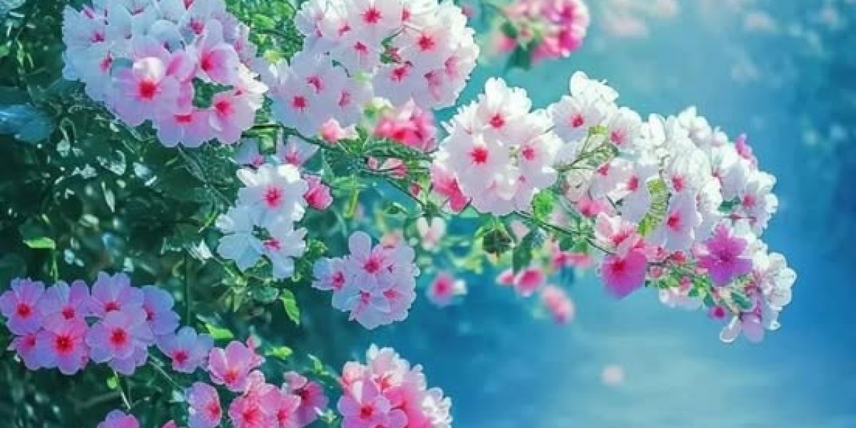 Seahawks 2025 draft movie analyze: Rylie Mills will reinforce the Seahawks' defensive line