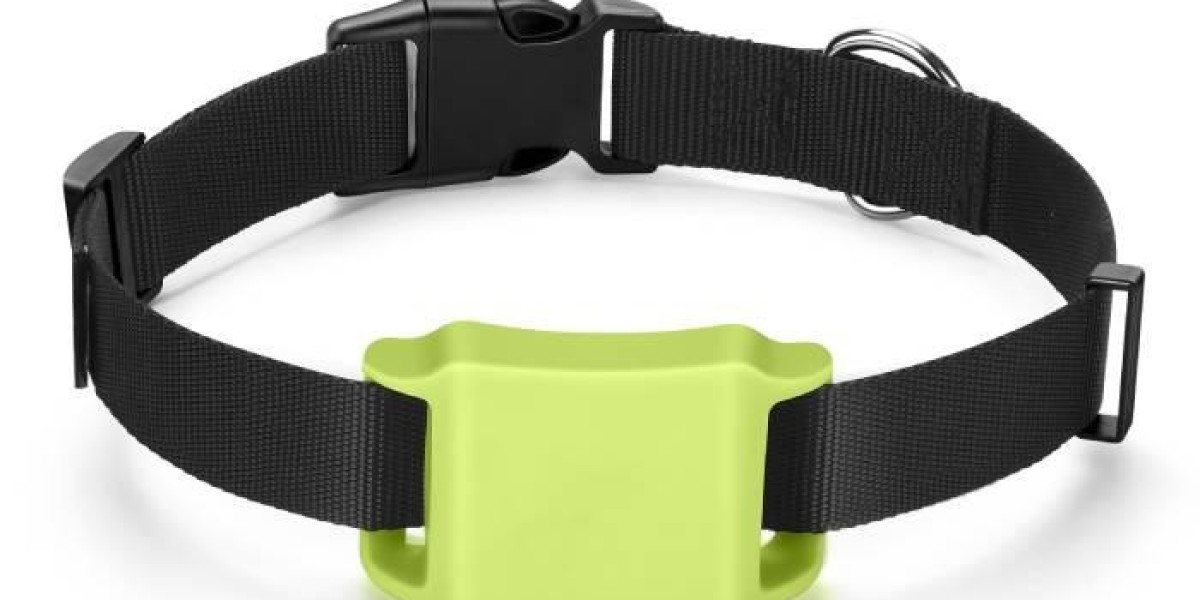 Pawtechpet Pet Tracker Following Every Adventure Path